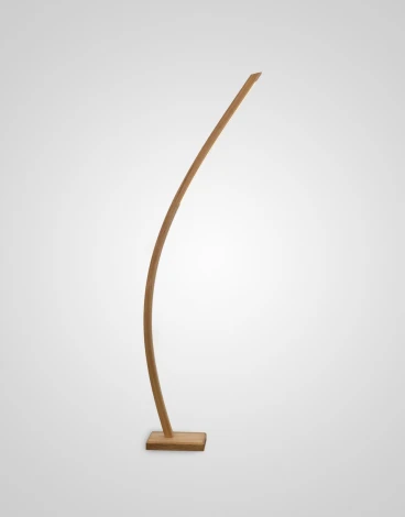 Торшер Мелодия Света FL2L 000050619