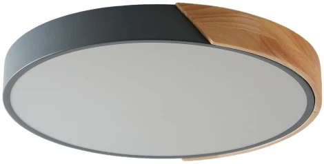 Потолочный светильник круглый Zortes Alberro ZRS.01280.24 (LED, 220V, круглые)