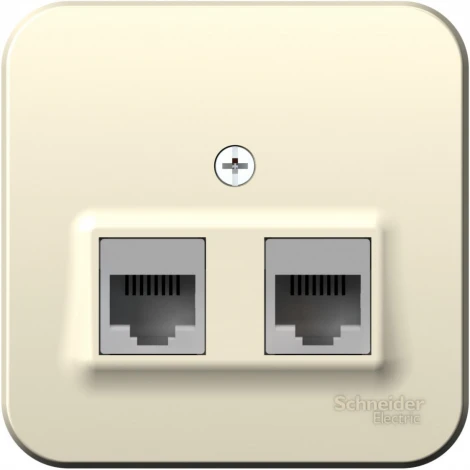 Розетка накладная двойная Ethernet RJ-45 (молочный) Systeme Electric Blanca BLNIA045452