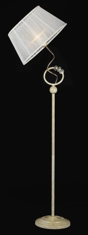 Торшер Maytoni Elegant 6 ARM014-22-G