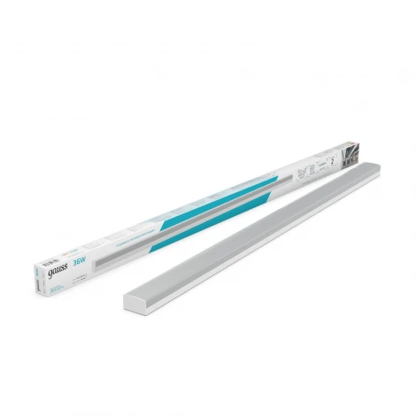 Настенно-потолочный светильник светодиодный Gauss 883525236