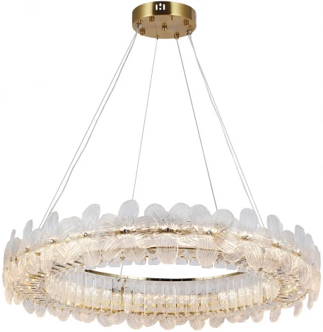 Подвесная люстра светодиодная Kink Light Лиона 07600-80A,36 (220V, на тросе, круглые)