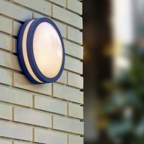 Потолочный светильник уличный Oasis Light SIDNEY 3362 Gr