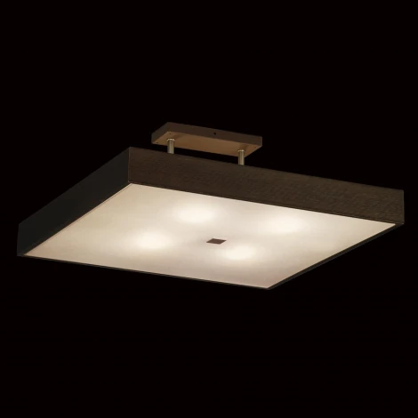 Потолочный светильник Citilux Кваттро CL940511