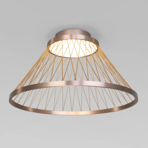 Потолочный светильник круглый Eurosvet Cesta 40019/1 LED коричневый (220V, круглые)