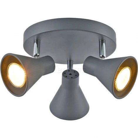 Спот Freya Claris FR4308-CL-03R-GR