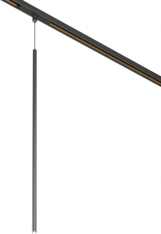 светильник магнитный MAG-ORIENT-SPOT-HANG-L600-R12-2W Warm3000 (BK, 20 deg, 48V) (Arlight, IP20 Металл) 044502