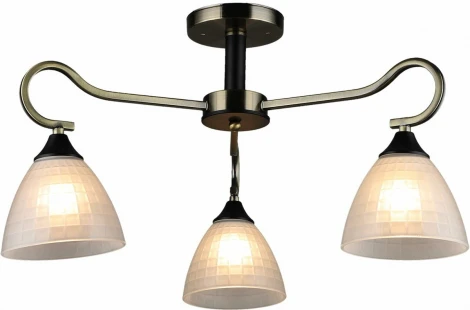 Потолочная люстра на штанге Reluce 03751-0.3-03 (220V)