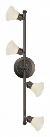 Спот Eglo Alamo 89059