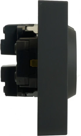 Розетка двойная с заземлением и шторками (черный) Stekker Эмили 49856