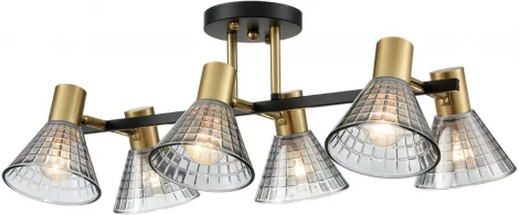 Потолочная люстра на штанге Lumion Anriya 8044/6C черный, латунь/дымчатый металл/стекло Е14 6*40W 220V