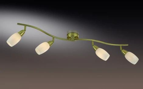 Спот Odeon Light Otta 2067/4W