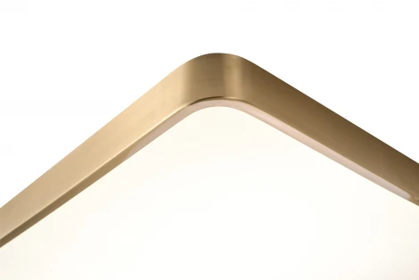 Потолочный светильник Zortes Monna ZRS.1209.09 (LED, 220V)