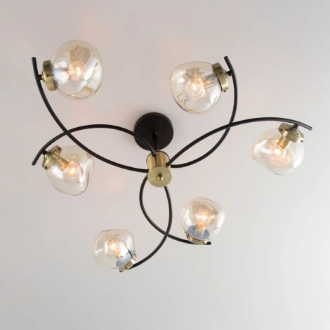 Потолочная люстра Citilux Фабула CL110165