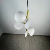 Фото