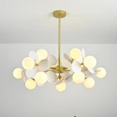 Фото