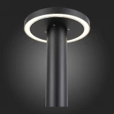 Фото