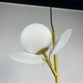 Фото