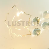 Фото
