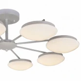 Фото